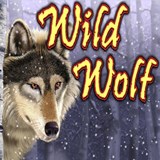 Free Wild Wolf slot machine